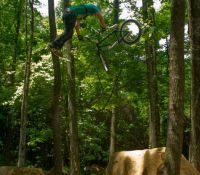 oppo whip
